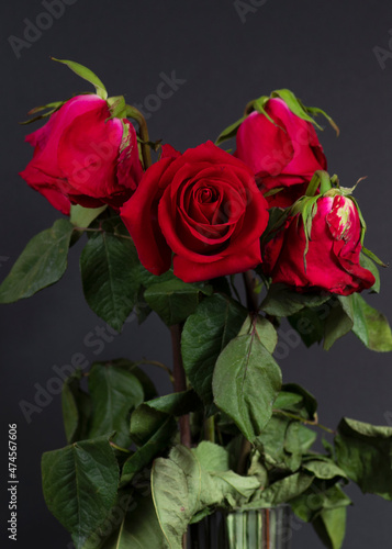 Fototapeta Naklejka Na Ścianę i Meble -  red roses in a vase on a black background