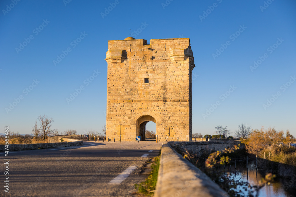Fototapeta premium Tour Carbonnière au milieu des marais de la Petite Camargue, près d’Aigues-Mortes (Occitanie, France)