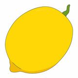 Vector illustration of lemon. Fruit in cartoon style. Citrus isolated on white background. Source of vitamin C
