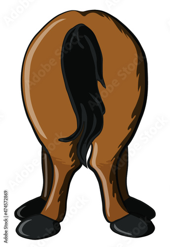 Horse's Rear