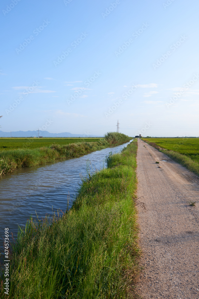 A water channel used to irrigate rice fields A water channel used to irrigate rice fields