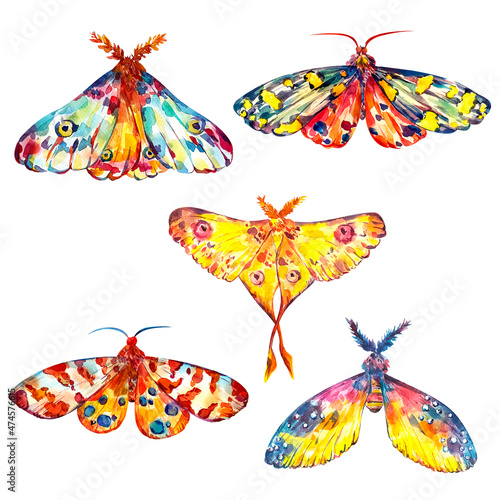 Set of Colorful decorative Moths watercolor hand painted illustration isolated on white. photo