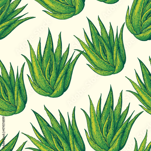 Aloe vera seamless pattern. Hand drawn vector illustration.