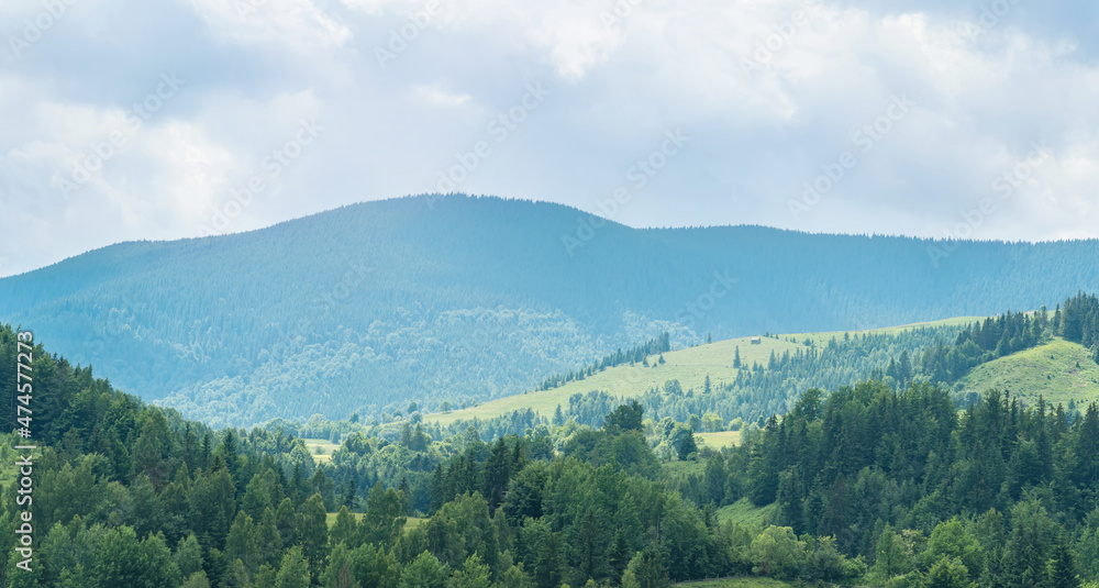 Mountain landscape of the Carpathians. Mountain meadows with huts and coniferous forests.