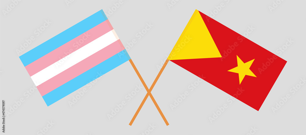 Crossed flags of transgender pride and Tigray. Official colors. Correct proportion Crossed flags of transgender pride and Tigray. Official colors. Correct proportion