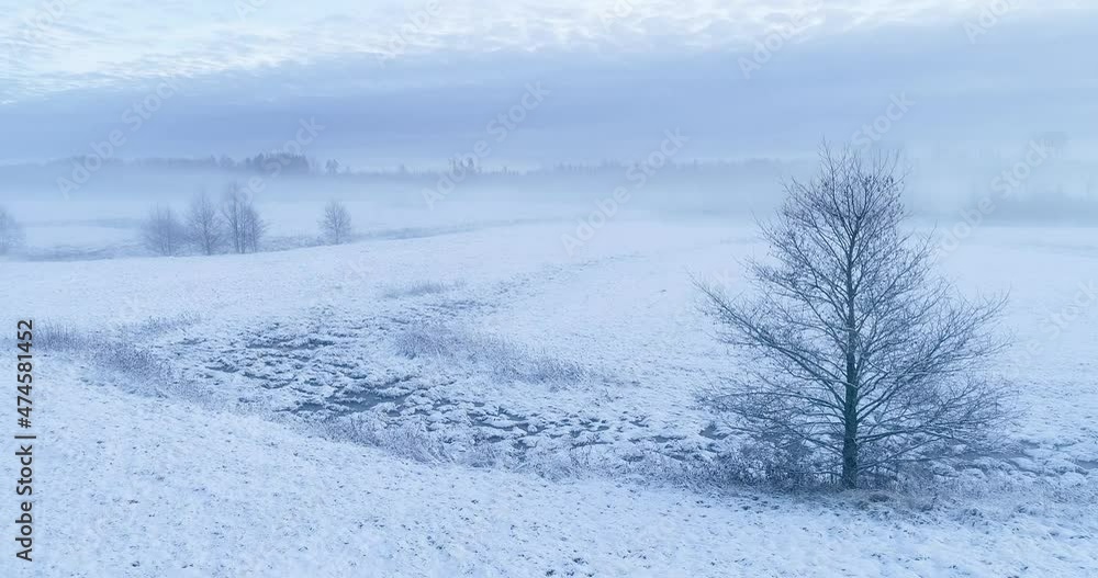 Slow movement over a misty winter landscape with a lonely tree in Estonia, Northern Europe. Slow movement over a misty winter landscape with a lonely tree in Estonia, Northern Europe.