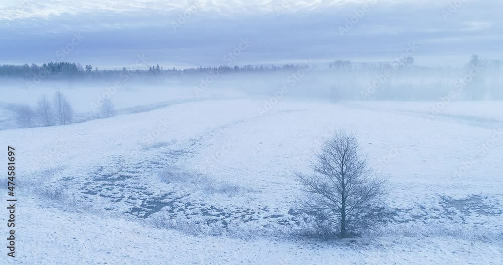 Slow movement over a misty winter landscape with a lonely tree in Estonia, Northern Europe. Slow movement over a misty winter landscape with a lonely tree in Estonia, Northern Europe.