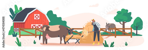 Agriculture, Rancher Working Activity. Young Farmer Woman Feeding Cow Putting Straw in Trough. Female Character at Work