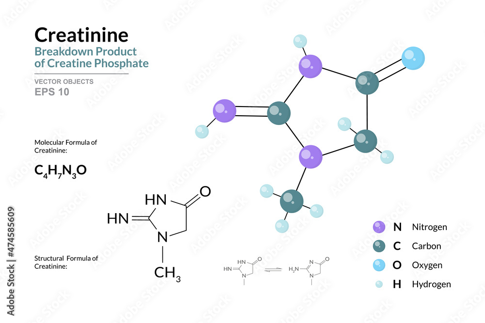 Creatinine. Breakdown Product of Creatine Phosphate. Structural Chemical Formula and Molecule 3d Model. C4H7N3O. Atoms with Color Coding. Vector Illustration Creatinine. Breakdown Product of Creatine Phosphate. Structural Chemical Formula and Molecule 3d Model. C4H7N3O. Atoms with Color Coding. Vector Illustration