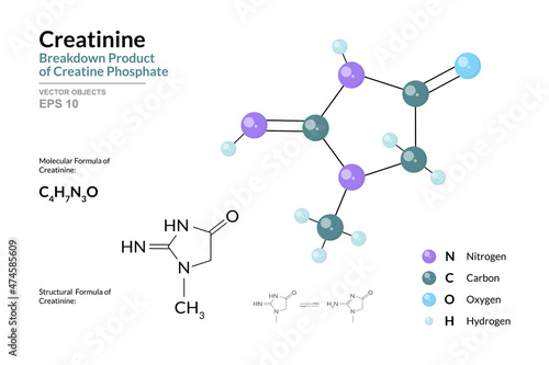 Creatinine. Breakdown Product of Creatine Phosphate. Structural Chemical Formula and Molecule 3d Model. C4H7N3O. Atoms with Color Coding. Vector Illustration