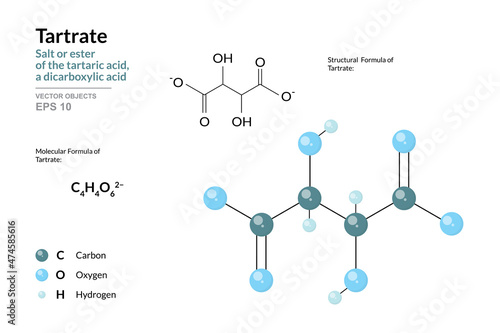 Tartrate. Salt or Ester of the Tartaric Acid, a Dicarboxylic Acid. Structural Chemical Formula and Molecule 3d Model. C4H4O6. Atoms with Color Coding. Vector Illustration photo