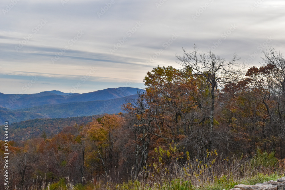 Shenandoah National Park, Virginia, USA - November 3, 2021: Mountain Scenery With Beautiful Fall Trees in the Foreground and a Bright Blue Sky in the Background Shenandoah National Park, Virginia, USA - November 3, 2021: Mountain Scenery With Beautiful Fall Trees in the Foreground and a Bright Blue Sky in the Background