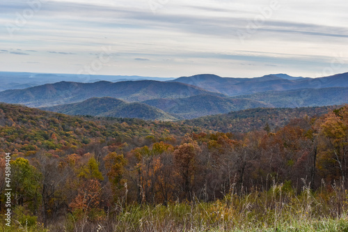 Shenandoah National Park, Virginia, USA - November 3, 2021: Mountain Scenery With Beautiful Fall Trees in the Foreground and a Bright Blue Sky in the Background