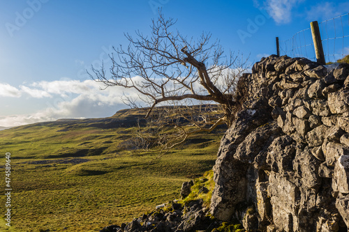 Hill walking the Norber Eratics around Austwick in Craven in  the Yorkshire Dales photo