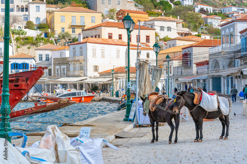 Horses wait for tourists along the Aegean Sea at the picturesque fishing port of the Greek island of Hydra, Greece.