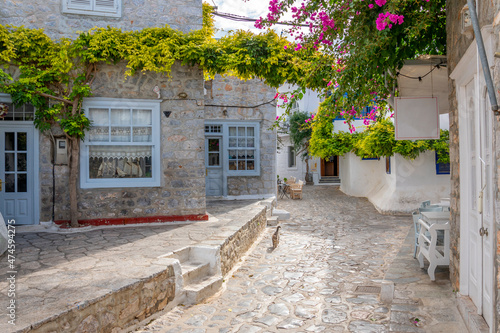 Fototapeta Naklejka Na Ścianę i Meble -  A stray cat walks along a picturesque street of whitewashed homes and shops in the village of the small Greek island of Hydra, Greece.