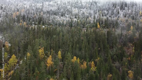 Trees transition from autumn to winter Norway Mountain Drone Shot 4K photo