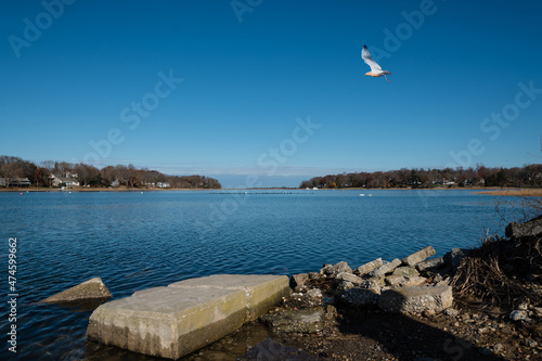 Beautiful view of the Setauket harbor with waterfowls in the water ,  a seagull in the air and broken concrete blocks in the foreground.  photo