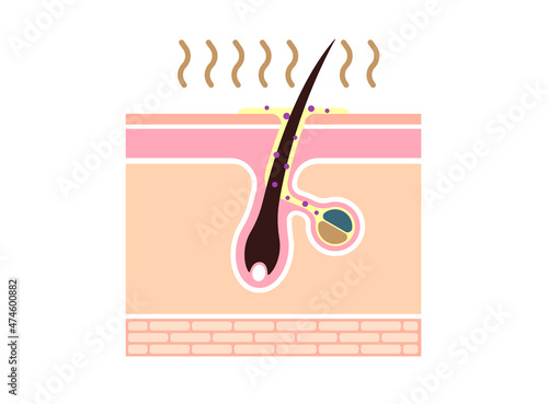 Causes of aging odors vector illustration (no text) photo