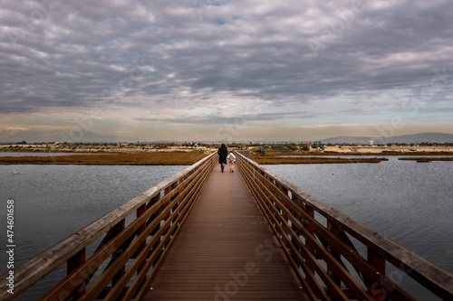 wooden bridge over lake