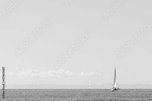 sailing in the sea