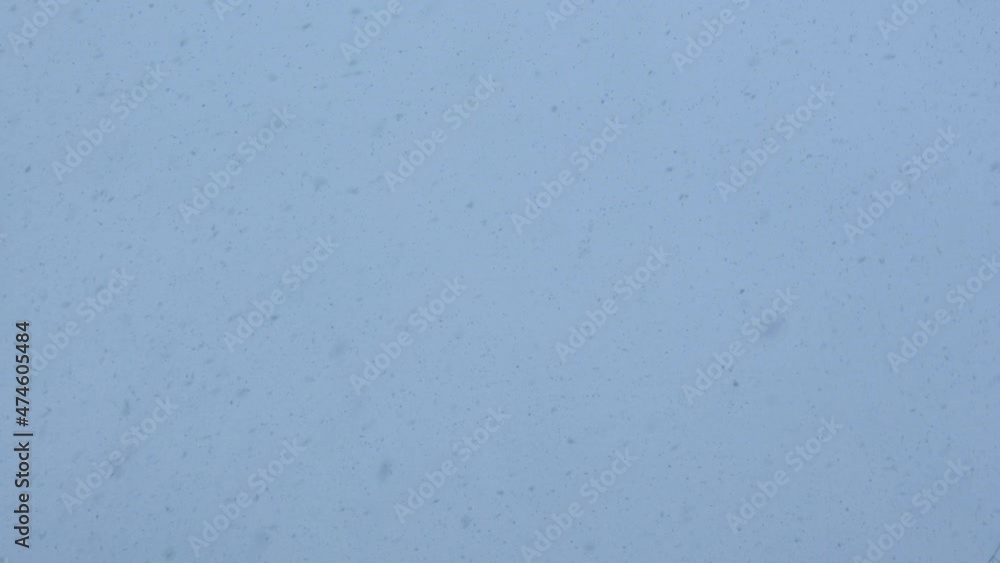 heavy snow fall over blue grey sky background. falling snowflakes down snowfall heavy snow fall over blue grey sky background. falling snowflakes down snowfall