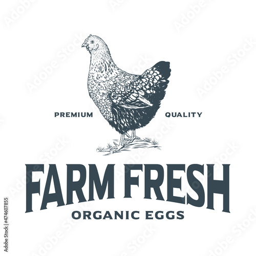 Chicken farm rustic logo design template