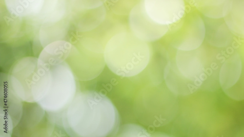 Sunny abstract green nature background, Blur park with bokeh light , nature, garden, spring and summer season