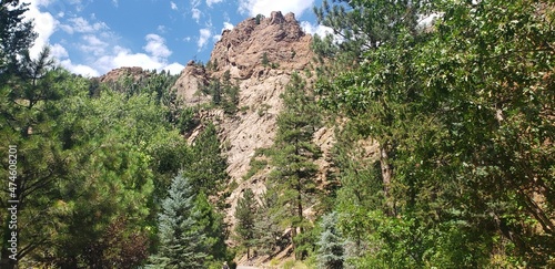 Fotografie grass and sky