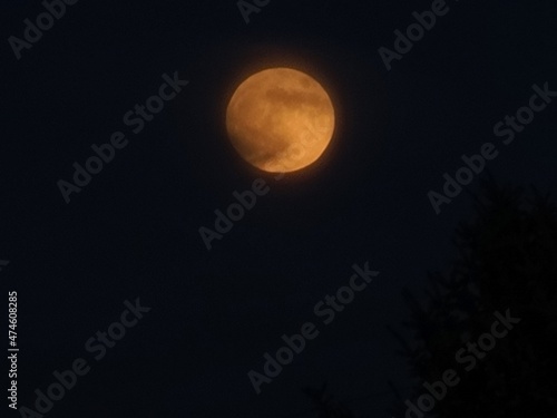 Obraz na plátně moon