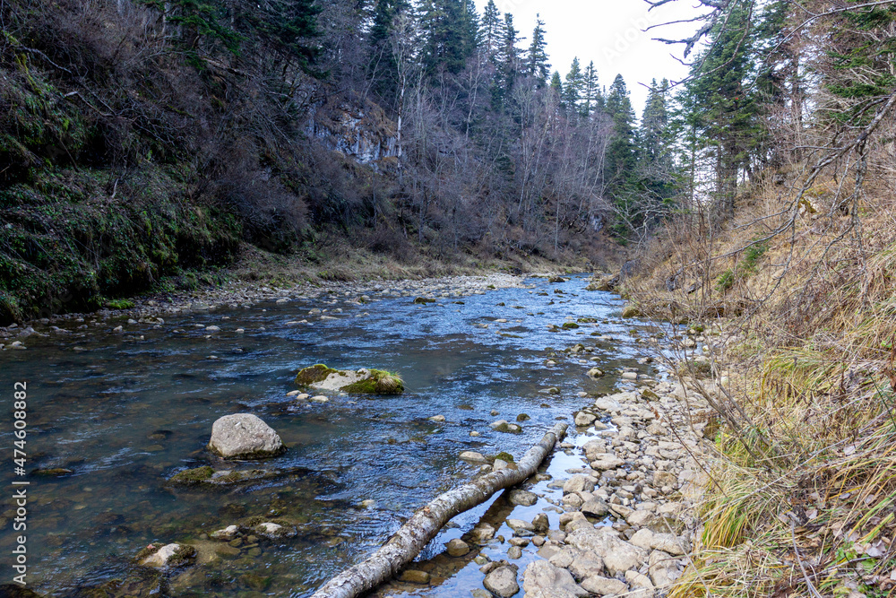 traveling along the bed of a mountain river, an autumn day, nature is preparing for winter hibernation. traveling along the bed of a mountain river, an autumn day, nature is preparing for winter hibernation.