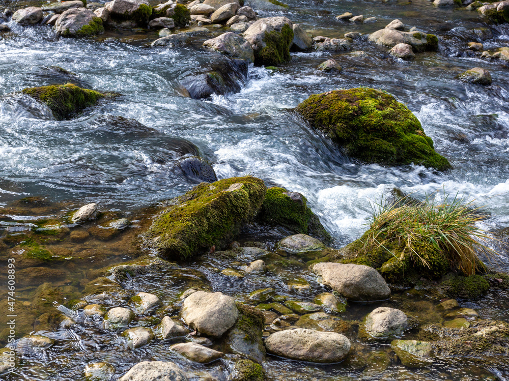 traveling along the bed of a mountain river, an autumn day, nature is preparing for winter hibernation. traveling along the bed of a mountain river, an autumn day, nature is preparing for winter hibernation.