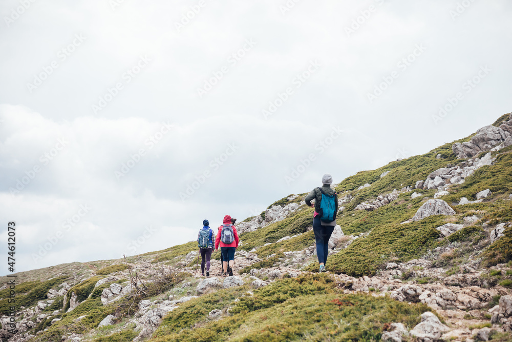 a group of tourists climb to the top of the mountain on a trip