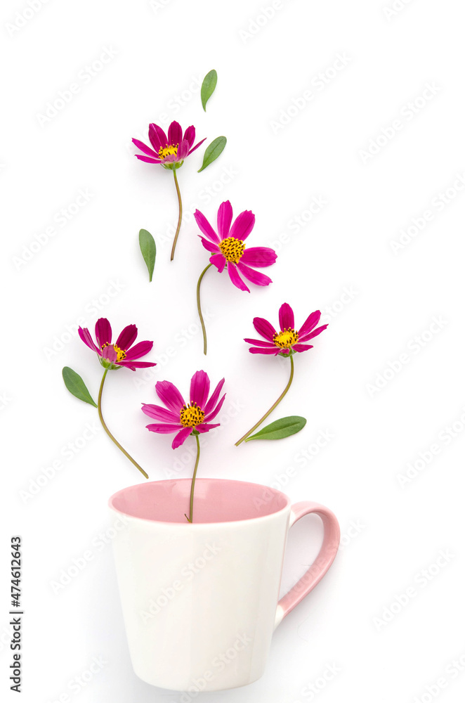 Composition of colorful flowers and leaves on a white background Composition of colorful flowers and leaves on a white background