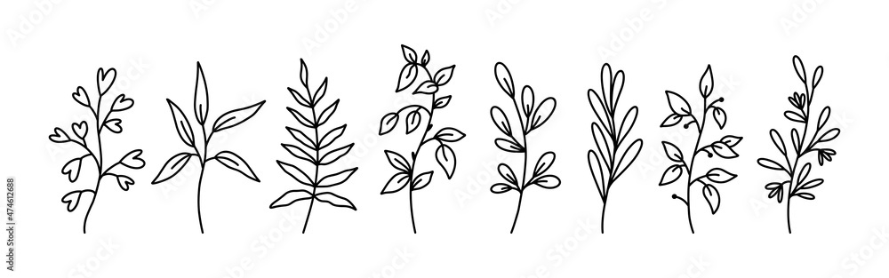 Botanical floral doodles isolated on white background. Set of abstract twigs with leaves of different shapes. Hand-drawn vector illustration. Perfect for cards, invitations, decorations.