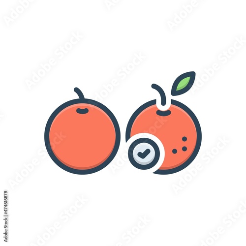 Color illustration icon for than photo