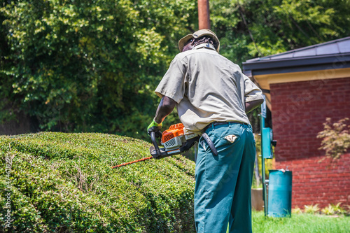 A landscaper using a gas-powered hedge trimmer tool to carefully prune and shape the bushes in a yard