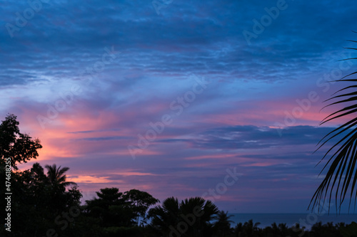 Silhouette of palm leaf against the background of the colorful sky and sea at sunrise 