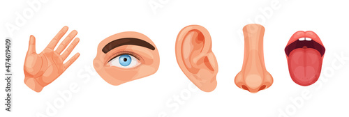 Nose smell, eye sight vision, ears, skin touch, body, language taste of tongue