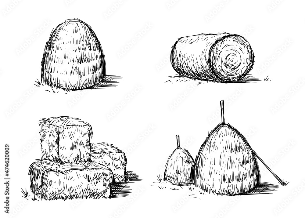 Hay bale farm drawing sketch. Hand drawn haystack set. Isolated vector illustration. - obrazy, fototapety, plakaty 