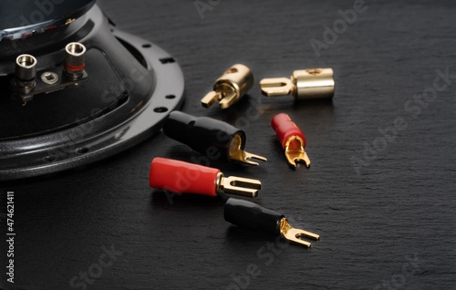 Acoustic speaker with connectors, electrical plugs for speaker wires with, connectors close-up on a black background