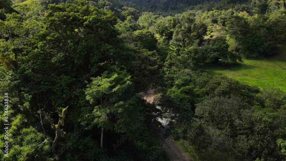 Drone flying over a remote and secluded dirt road that leads through the thick jungle of Costa Rica. Rural transportation concepts filmed from above the tree tops. Tropical flora in 4k. Drone flying over a remote and secluded dirt road that leads through the thick jungle of Costa Rica. Rural transportation concepts filmed from above the tree tops. Tropical flora in 4k.