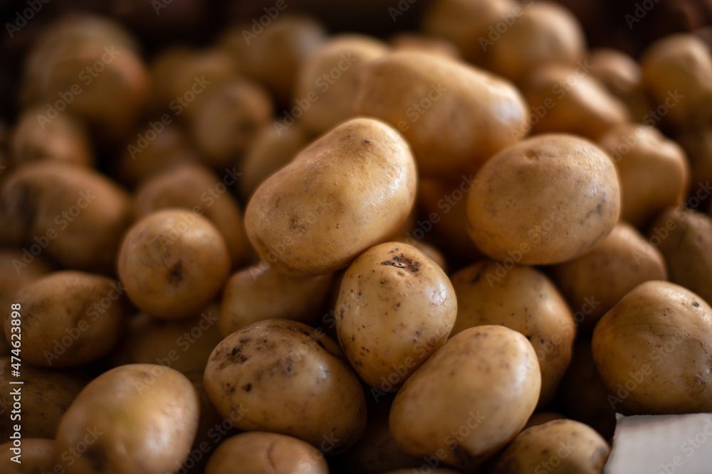 Potatoes on the counter. Farm-grown vegetables. Potatoes on the counter. Farm-grown vegetables.