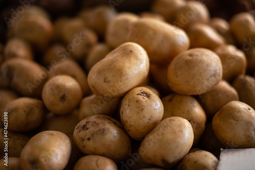 Potatoes on the counter. Farm-grown vegetables.