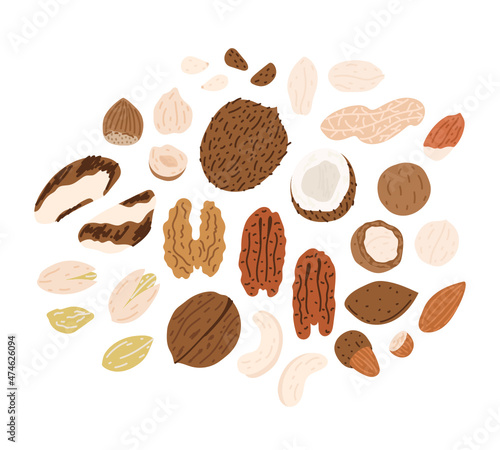 Set of hand-drawn colorful flat nuts illustrations. Nuts in shells. Vector drawings isolated on white background.