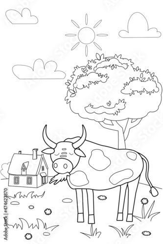 Cute bull farm animals coloring book educational illustration for children. Rural landscape colouring page. Vector black white outline cartoon character