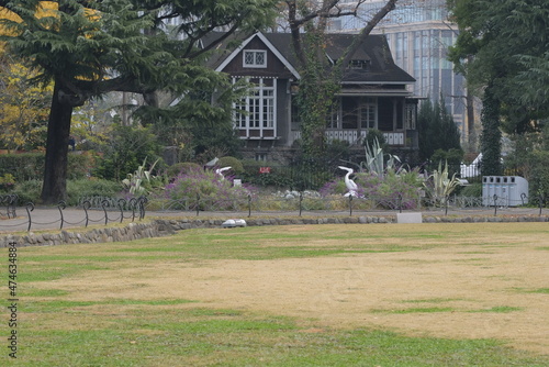 Winter morning in Hibiya, Marunouchi, Tokyo, 12/12/2021