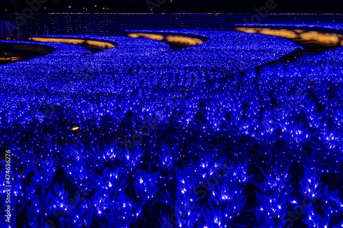 Festive illumination for the New Year and Christmas in Krasnodar. Sage terraces illuminated with blue lights. City Park Krasnodar, Galician Park. Krasnodar, Russia - November 24, 2021 photo