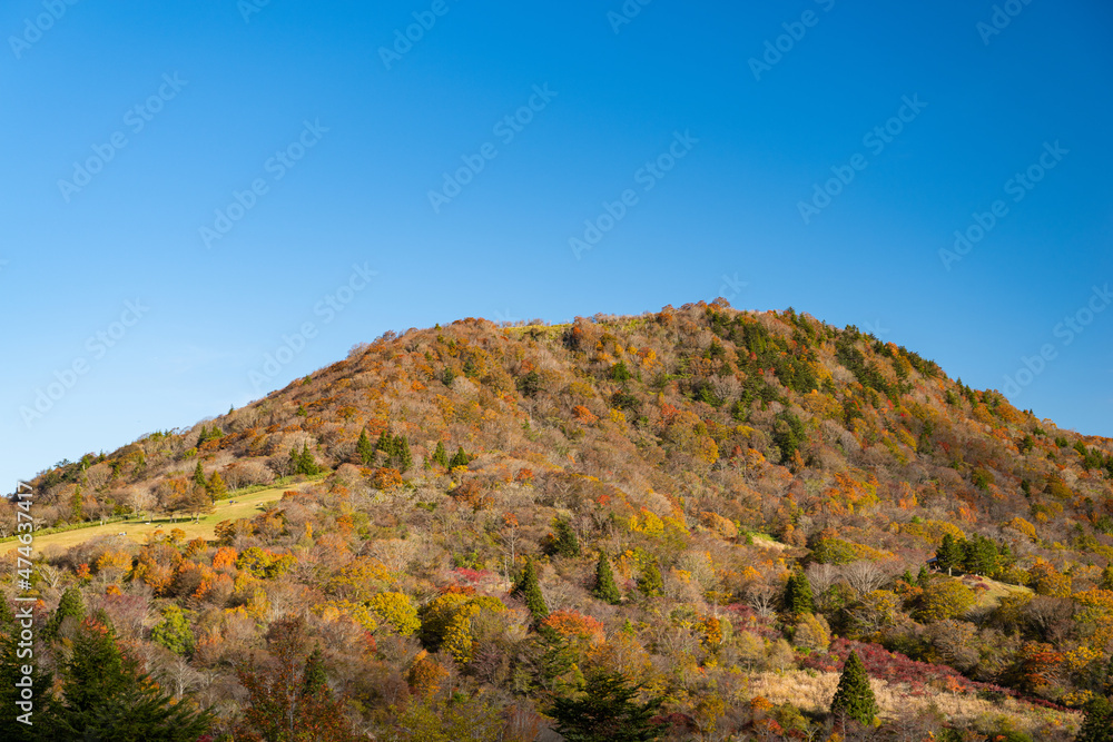紅葉する山　茶臼山高原