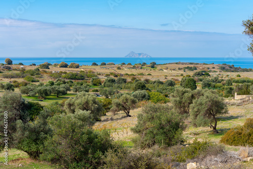 View to the beach and bay of Komos near the villages of Pitsidia and Matala  with a dry landscape  olive trees and fields
